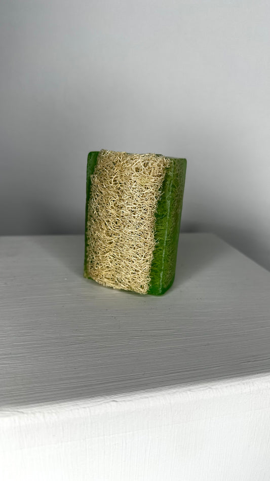 Natürliche Kürbisfaser Seife - Aloe Vera / Natural Pumpkin Fiber - Aloe Vera