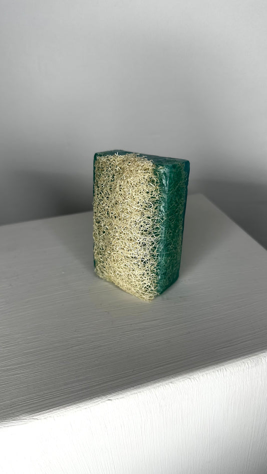 Natürliche Kürbisfaser Seife - Meersalz / Natural Pumpkin Fiber - Sea Salt