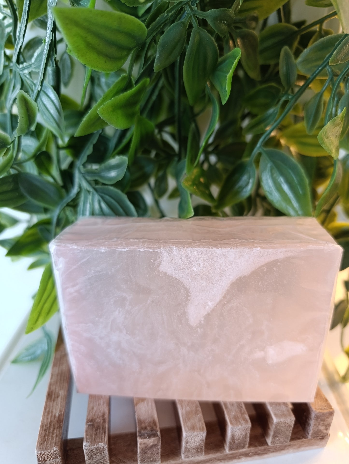 ESbelor Botanical Care Wash