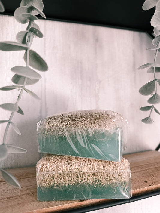 Natürliche Kürbisfaser Seife - Meersalz / Natural Pumpkin Fiber - Sea Salt